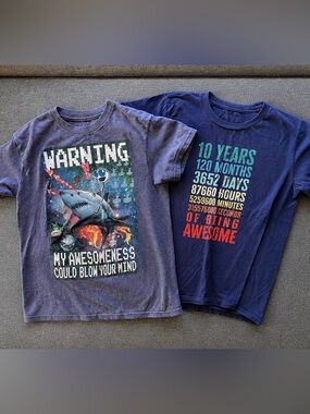Boys Graphic T Shirt Bundle Size 10-12 Funny Shark Tee 2 Pack